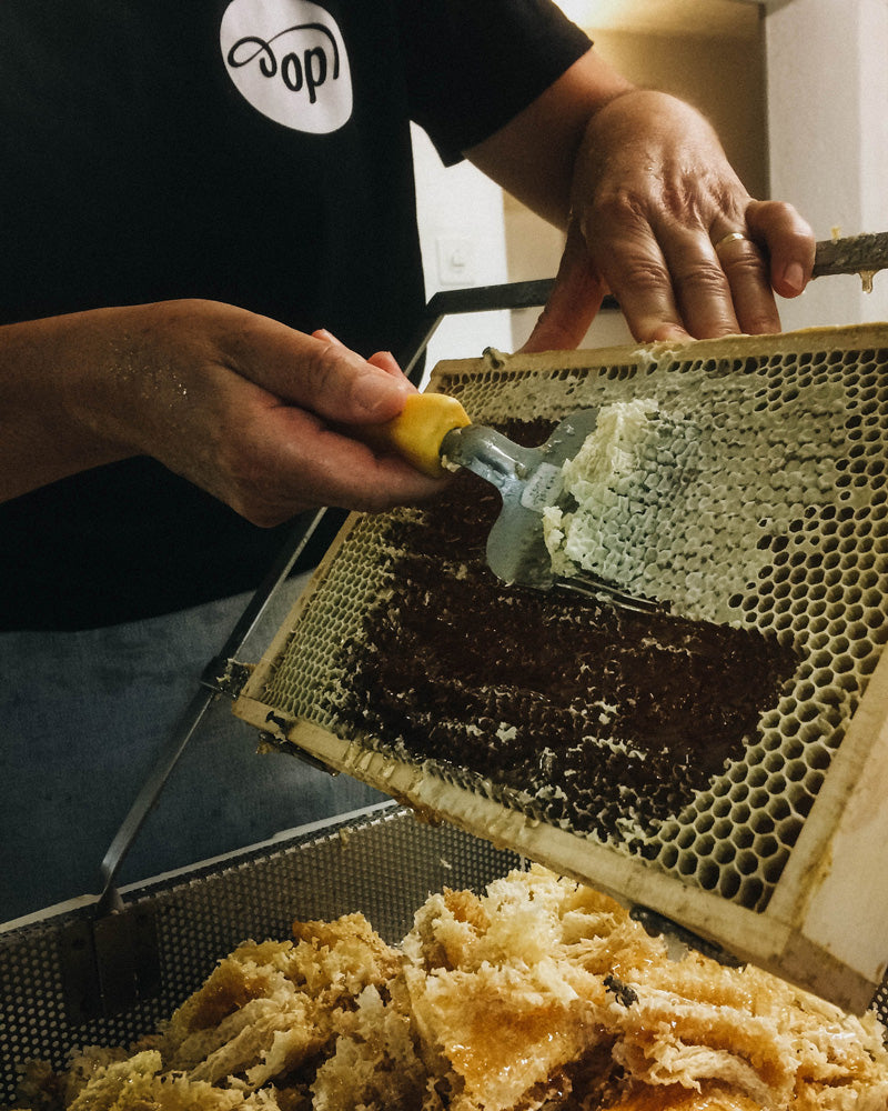 Marbee-all-natural-leather-balm-herstellung-6_mittels-Gabel-wird-die-Verdeckelung-der-Honigzellen-abgehoben